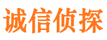 乐东寻人公司